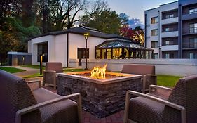 Courtyard by Marriott Rye Ny